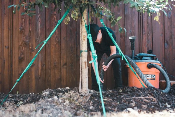 Top villa rental tips in st. barth for your perfect getaway